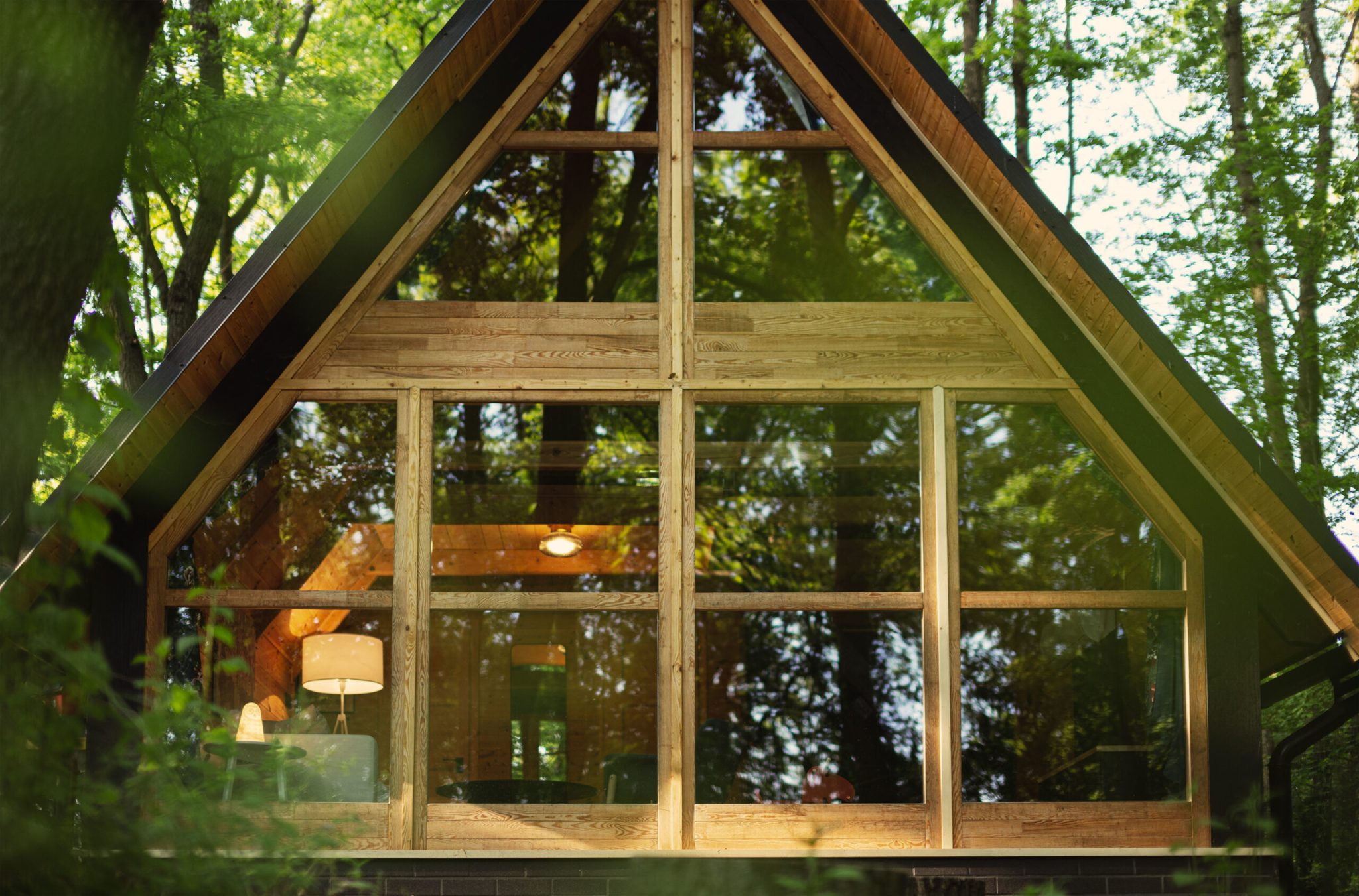 medvetalp008-scaled-1-2048x1351