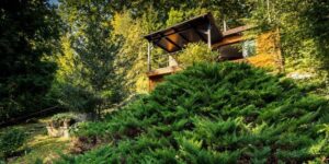 Erdei hangulat pároknak a Dunakanyarban