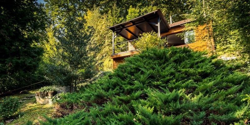 Erdei hangulat pároknak a Dunakanyarban